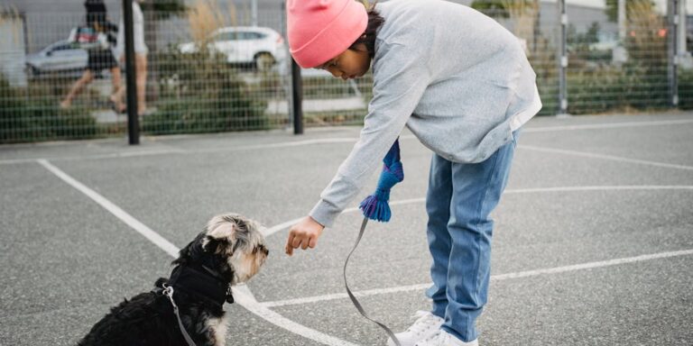 Les erreurs à éviter lors du dressage
